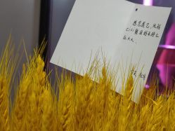 -CICI街舞专业培训