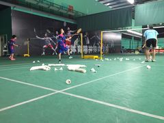 -东坡羽毛球馆(东坡南一路店)