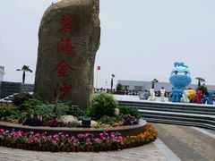 -碧海金沙