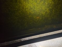 -晓港公园