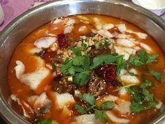 -龙梅肥肠鱼(明瓦廊店)