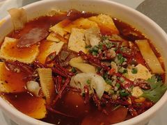 -洋洋中餐馆·SINCE 1997(龙湖星湖天街店)