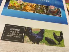 -雀舞云南菜(乐客城店)
