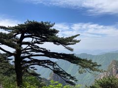 -黄山风景区