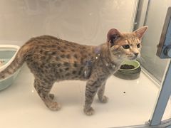-昆山招商花园城