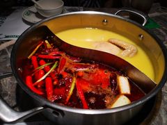 -禄婶鸡煲·打边炉