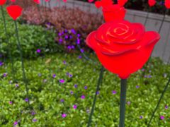 -LUNEURS月乐诗·法式冰淇淋(环贸店)