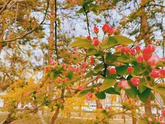 -元大都城垣遗址公园