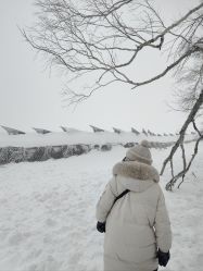 -大秃顶子山