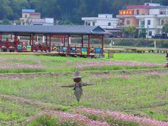 -红山村