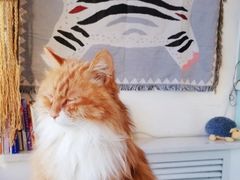 -平行世界·猫咖(首经贸店)