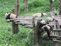 碧峰峡-碧峰峡风景区