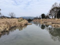 -良渚古城遗址公园