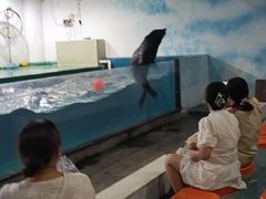 -嘉兴海底世界
