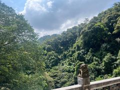-鼎湖山风景区