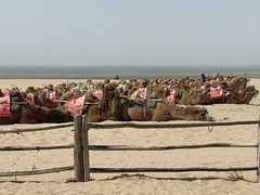 -黄沙古渡原生态旅游区
