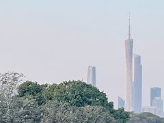 -海珠湖公园