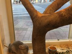 -龙猫仔乐园(惠福东路店)