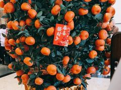-白云宾馆·白云轩中餐厅·匠心手制