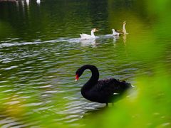 -西安秦岭野生动物园