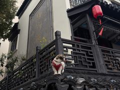 -葑门横街