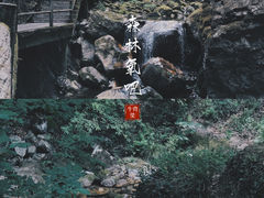 -牛背梁国家森林公园