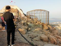 -西霞口神雕山野生动物世界