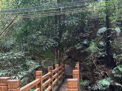 -滴水岩森林公园