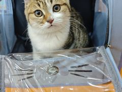 -艾贝尔宠物医院·宠保定点·超声绝育·免疫点(樱花路店)