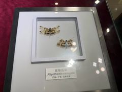 -上海昆虫博物馆