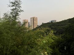 -鲤鱼塘农家山庄