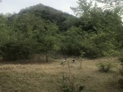 -米内日亚国家公园