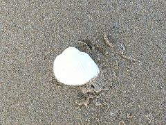 -嵊泗基湖沙滩