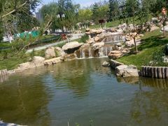 -西海子公园