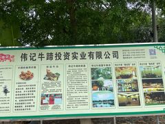 -伟记牛蹄(道滘店)