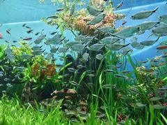 -太平洋海底世界