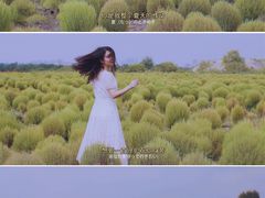 -映月湖中央公园