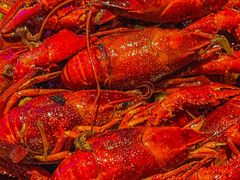 -虾乐园龙虾·夜宵(松江店)