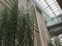 -上海雅居乐万豪侯爵酒店