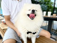 -星巴克(珠海仁恒滨海中心店)