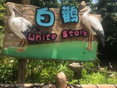 -珠海长隆海洋王国