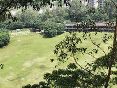 -火炉山森林公园