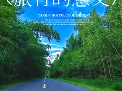 -汤旺河林海奇石景区
