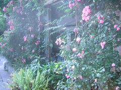 -春暖花开(西溪店)