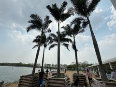 -天津东丽湖风景区