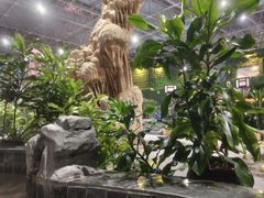 -兴芮温泉度假区