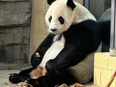 -石家庄市动物园