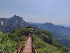 -大岭沟猕猴桃谷风景区