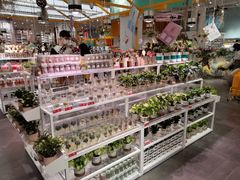 -KKV(深圳宏发大仟里店)