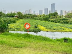 -洋湖国家湿地公园